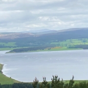 Summer Walks across the Parish
